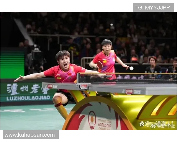 武汉乒乓球队在全国耐力排行榜中荣获第三名的辉煌成就