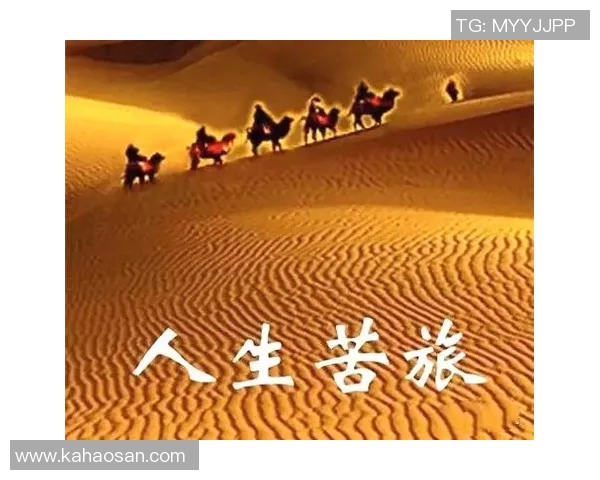 深度对话：王强如何在网球世界中追寻梦想与挑战人生