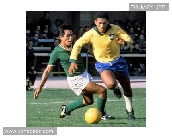 足球明星P图男女的趣味对比与创意玩法探索